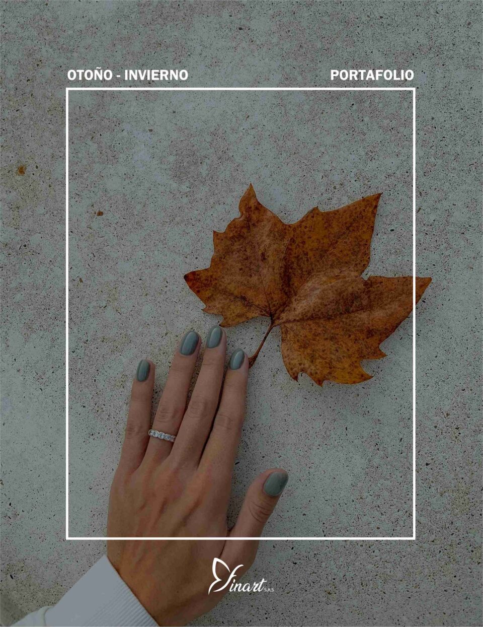 Portafolio Otoño - Invierno V1